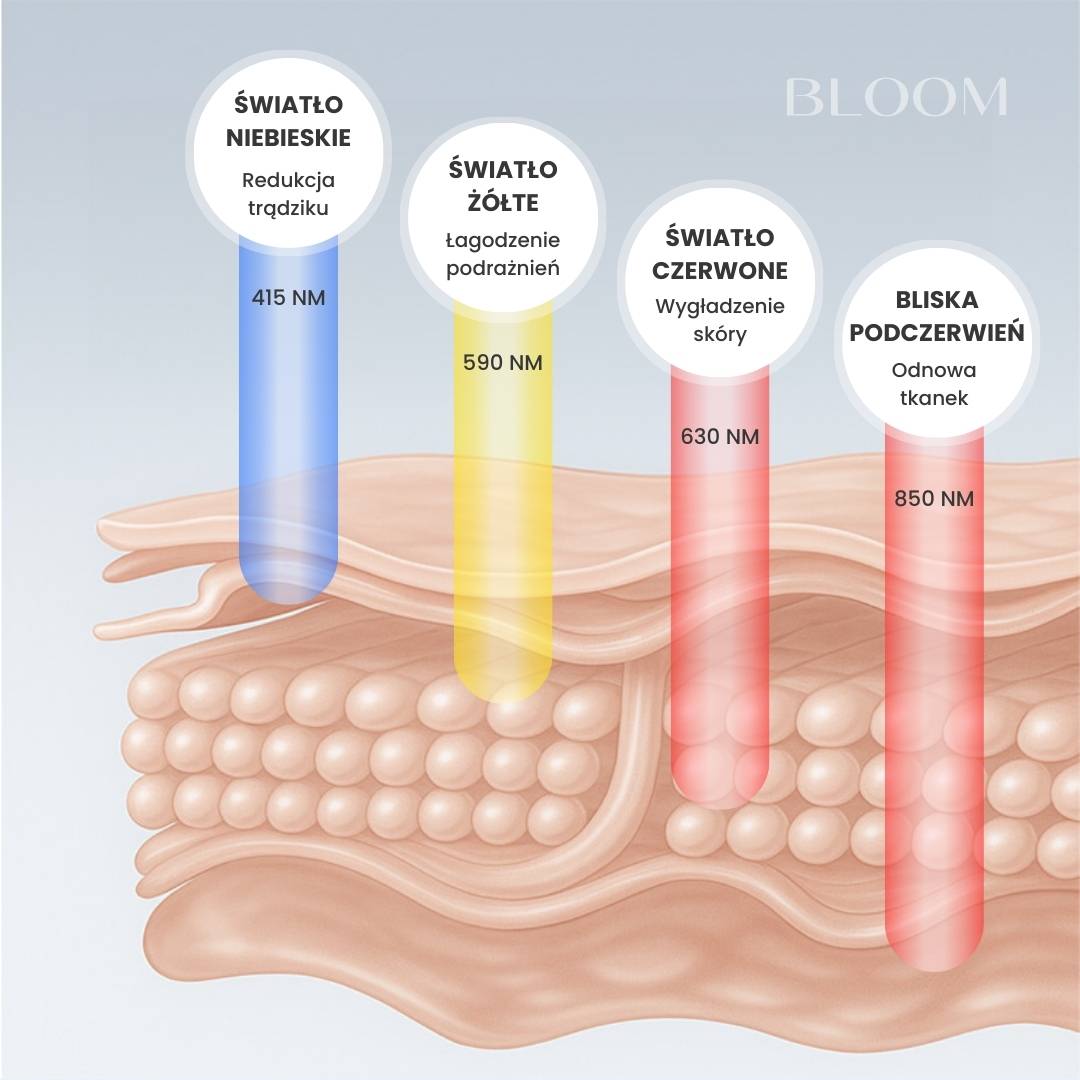 Bloom INFRA